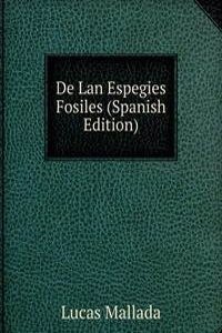 De Lan Espegies Fosiles (Spanish Edition)