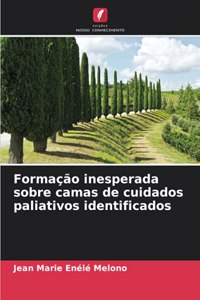 Formação inesperada sobre camas de cuidados paliativos identificados