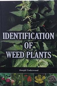 Identification of Weed Plants