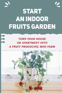 Start An Indoor Fruits Garden