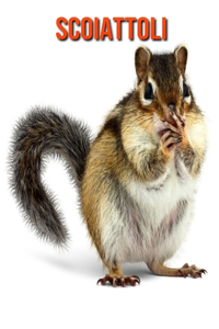 Scoiattoli