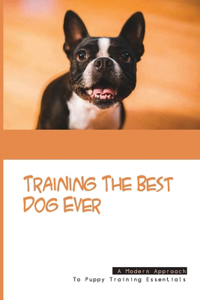 Training The Best Dog Ever- A Modern Approach To Puppy Training Essentials