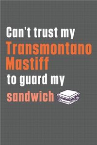 Can't trust my Transmontano Mastiff to guard my sandwich