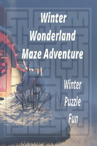 Winter Wonderland Maze Adventure
