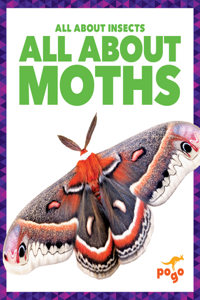 All about Moths