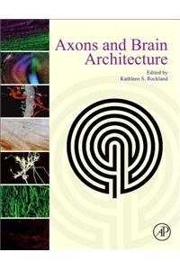 Axons and Brain Architecture