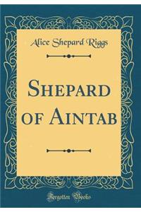 Shepard of Aintab (Classic Reprint)