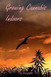 Growing Cannabis Indoors: Getting Started