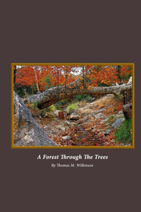 Forest Through The Trees