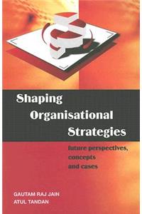 Shaping Organizational Strategies