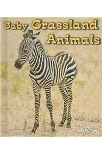 Baby Grassland Animals