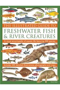 Illustrated Guide to Freshwater Fish & River Creatures