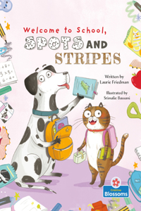 Welcome to School, Spots and Stripes