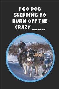 I Go Dog Sledding To Burn Off The Crazy