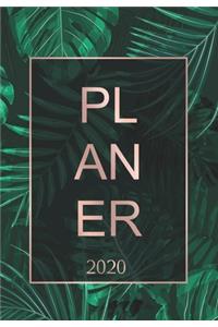 Planer 2020