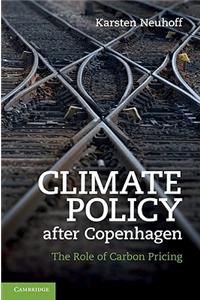 Climate Policy After Copenhagen