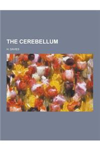 The Cerebellum