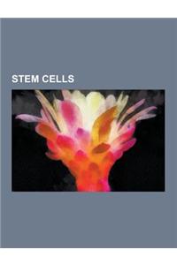 Stem Cells: Stem Cell Treatments, Induced Pluripotent Stem Cell, Stem Cell Marker, Cell Therapy, Induced Stem Cells, Hematopoietic