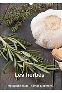 Les Herbes 2018