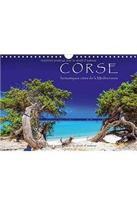 Corse - fantastiques côtes de la Méditerranée 2018