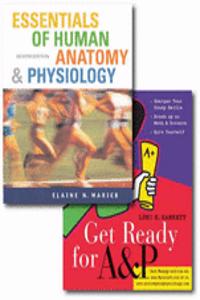 Essentials of Human Anatomy and Physiology