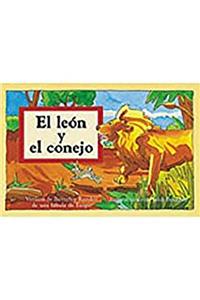 El Leon Y El Conejo (the Lion and the Rabbit)