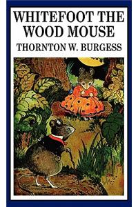 Whitefoot the Wood Mouse