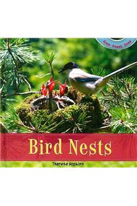 Bird Nests