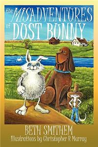 Misadventures of Dust Bunny