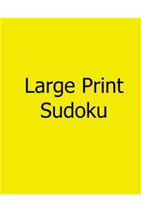 Large Print Sudoku