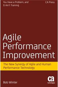 Agile Performance Improvement