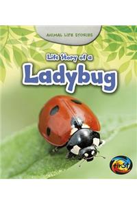 Animal Life Stories Life Story of a Ladybug