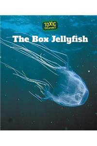 Box Jellyfish