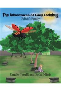The Adventures of Lucy Ladybug