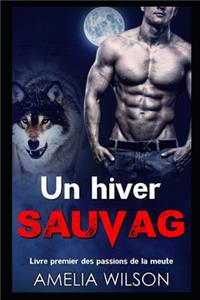 Un hiver sauvage