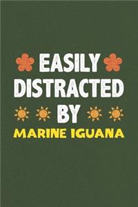 Easily Distracted By Marine Iguana