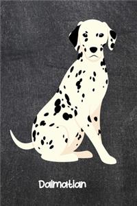 Dalmation