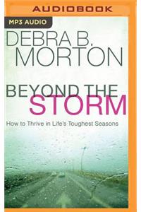 Beyond the Storm