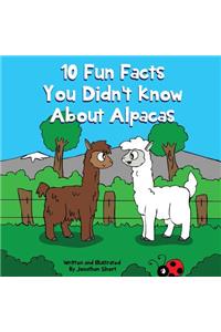 10 Fun Facts You Didn't Know About Alpacas