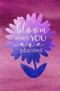 Bloom Where You Are Planted