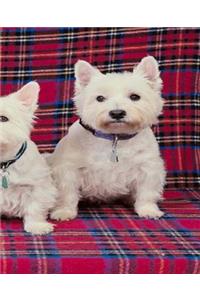 School Composition Book Three White Puppies Dog Photo 130 Pages
