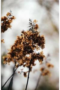 The Botanical Collection