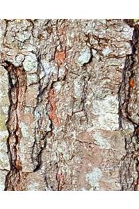 Old Oak Tree Bark School Composition Book 130 Pages