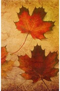Autumn Leaves Journal