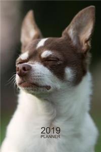 Chihuahua Planner 2019