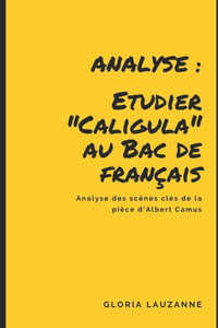 Analyse