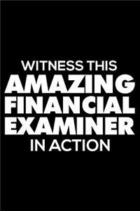 Witness This Amazing Financial Examiner in Action
