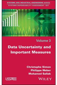 Data Uncertainty and Important Measures