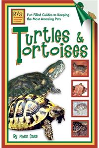 Turtles & Tortoises