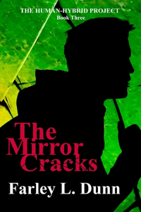 Mirror Cracks